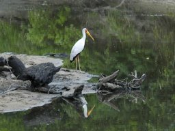 Western_Corridor_(Kirawira)2003-100